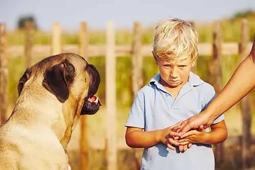 This image shows a young blonde boy looking anxiously at a friendly dog.
